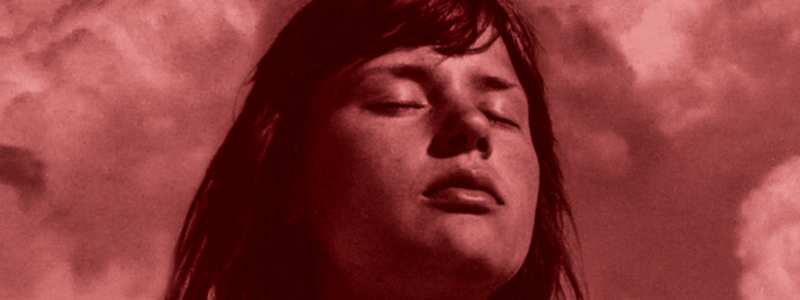 Summer with Bergman