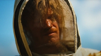 Bugonia (Source: themoviedb.org)