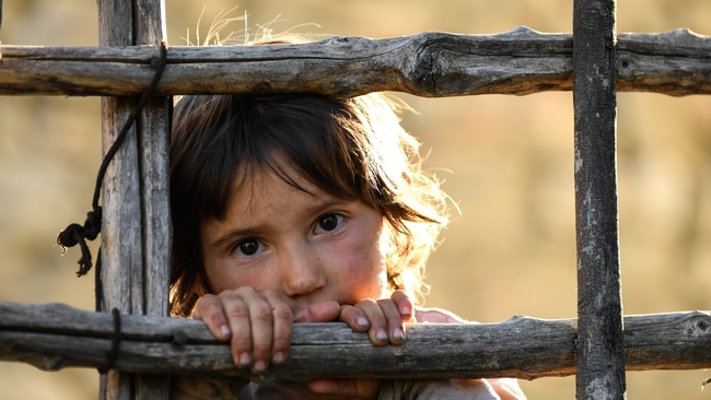 Honeyland (Source: themoviedb.org)