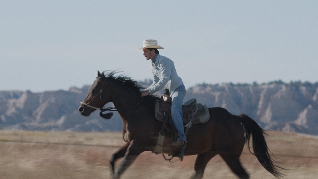 The Rider (Source: themoviedb.org)