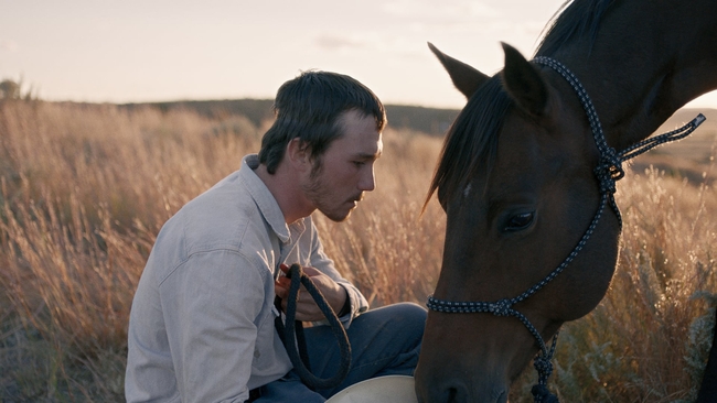 The Rider (Source: themoviedb.org)