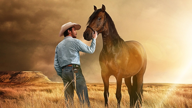 The Rider (Source: themoviedb.org)
