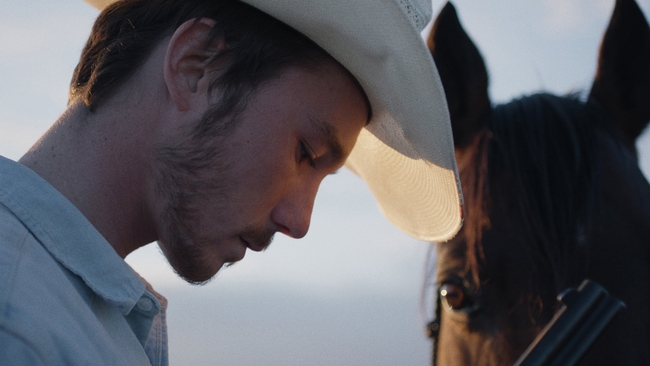 The Rider (Source: themoviedb.org)