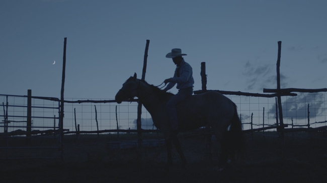 The Rider (Source: themoviedb.org)