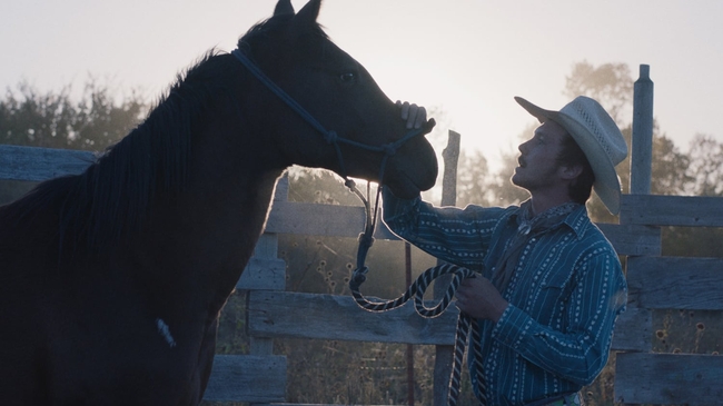 The Rider (Source: themoviedb.org)
