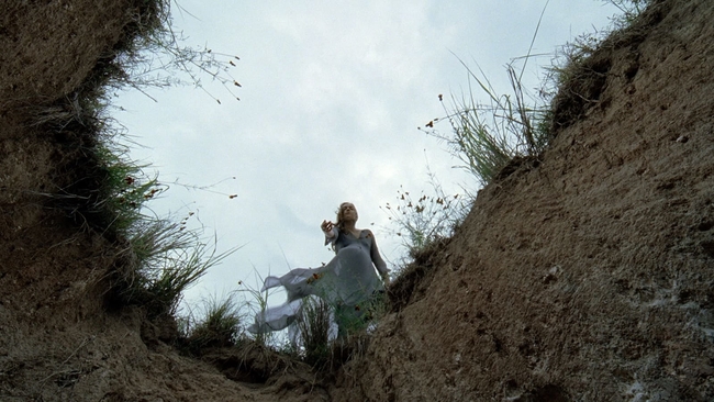 The Tree of Life (Source: themoviedb.org)