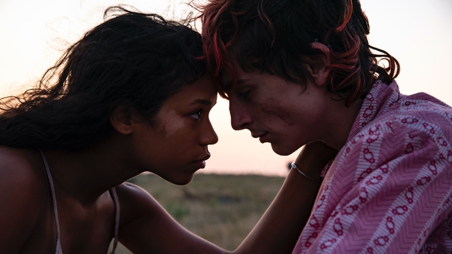 Bones and All (Source: themoviedb.org)