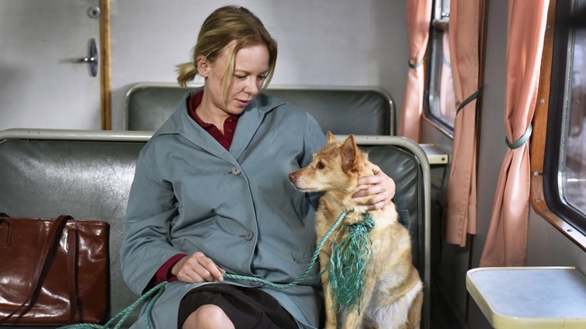 Fallen Leaves (Source: themoviedb.org)