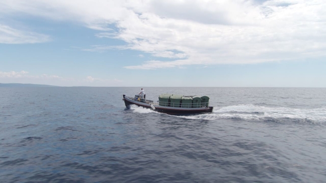 Matter Out of Place (Source: themoviedb.org)