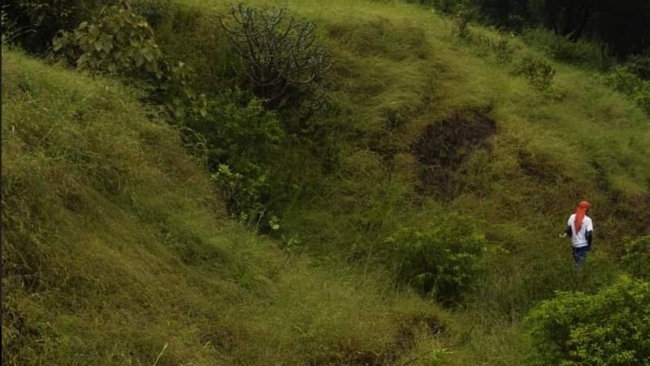 All We Imagine as Light (Source: themoviedb.org)