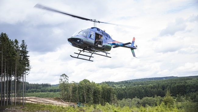 Mandy (Source: themoviedb.org)