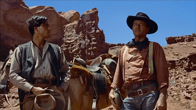 The Searchers (Source: themoviedb.org)