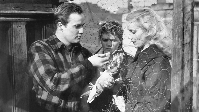 On the Waterfront (Source: themoviedb.org)