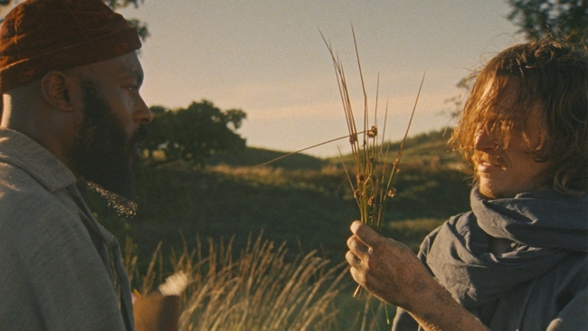 Harvest (themoviedb.com)