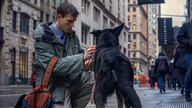 Babygirl (Source: themoviedb.org)