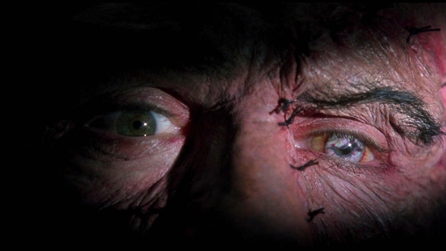 Mary Shelley's Frankenstein (Source: themoviedb.org)