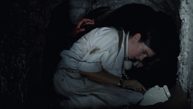 Phenomena (Source: themoviedb.org)
