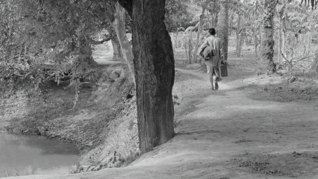 Aparajito (Source: themoviedb.org)