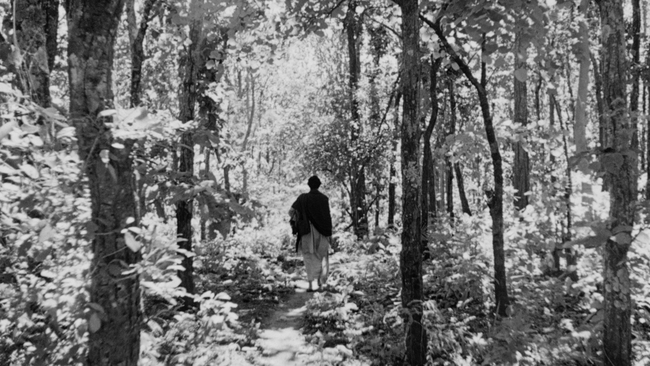 Apur Sansar (Source: themoviedb.org)