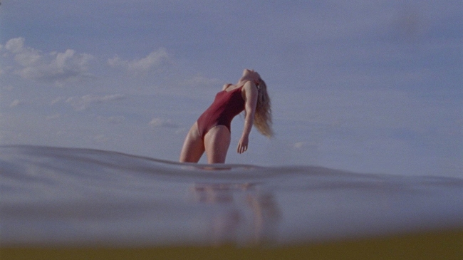 The Chronology of Water (Source: themoviedb.org)