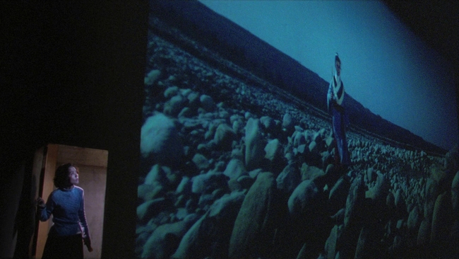 Goodbye, Dragon Inn (Source: themoviedb.org)