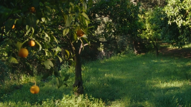 La Gradiva (Source: themoviedb.org)