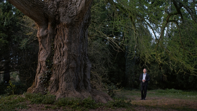 Silent Friend (Source: themoviedb.org)