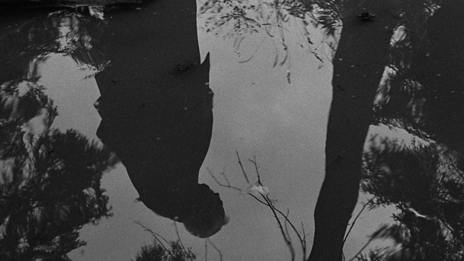 Smultronstället (Source: themoviedb.org)