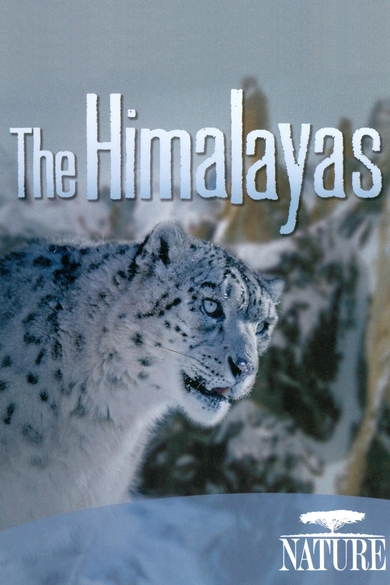 The Himalayas Poster (Source: themoviedb.org)