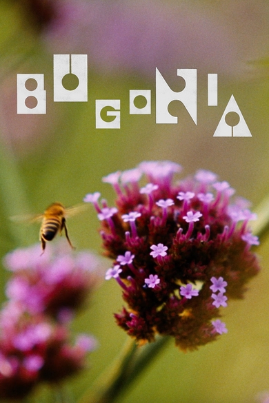 Bugonia Poster (Source: themoviedb.org)